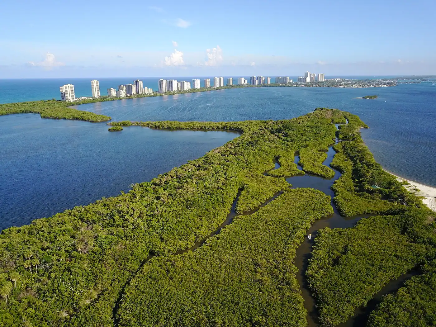 Aerial view of John D. MacArthur Beach State Park with the Singer Island towers beyond